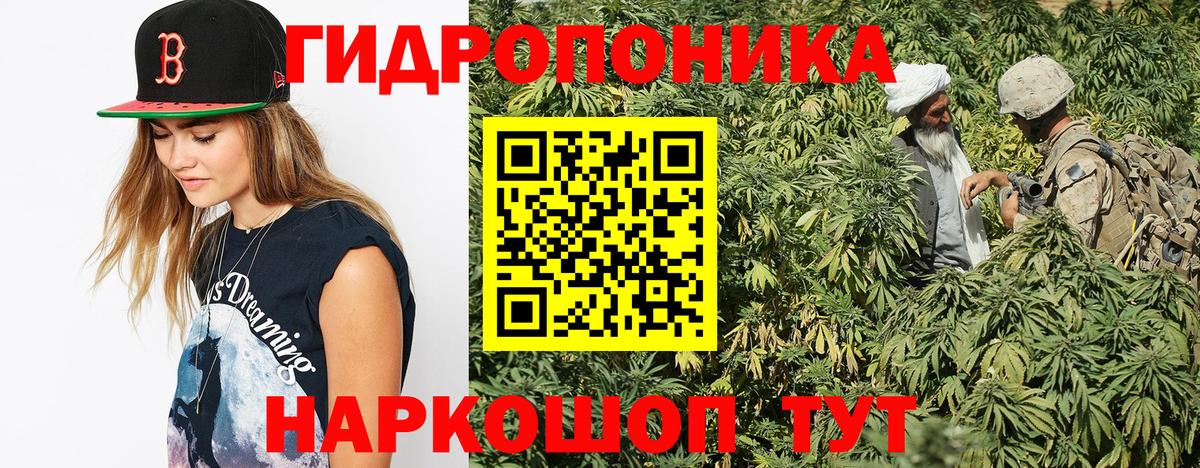 Бошки Шишки гибрид  МАРИХУАНА ГИДРОПОН  Бошки Шишки тримм  Вход с VPN  Королёв  Канабис тримм 